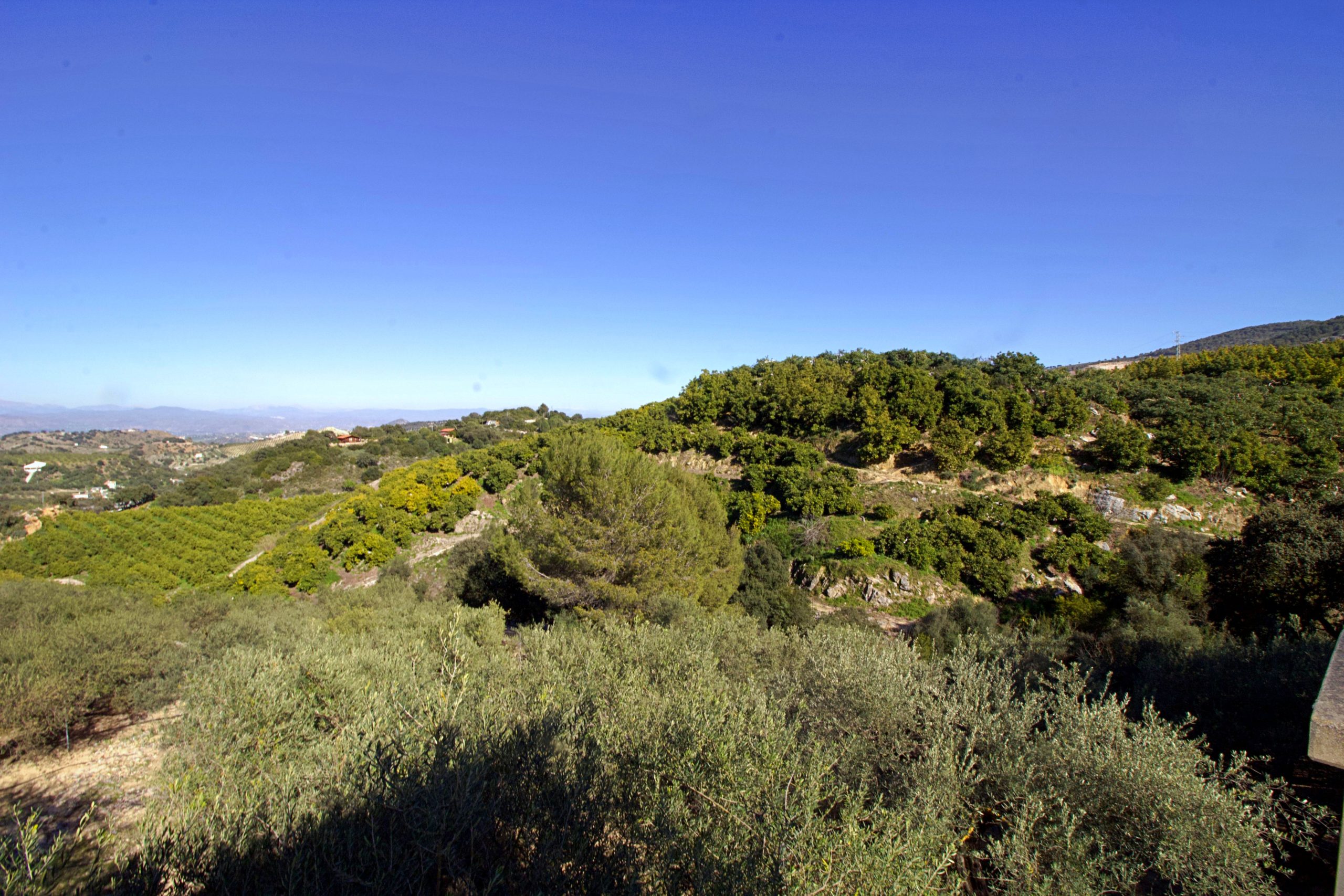 Chalet for sale in Coin, Malaga