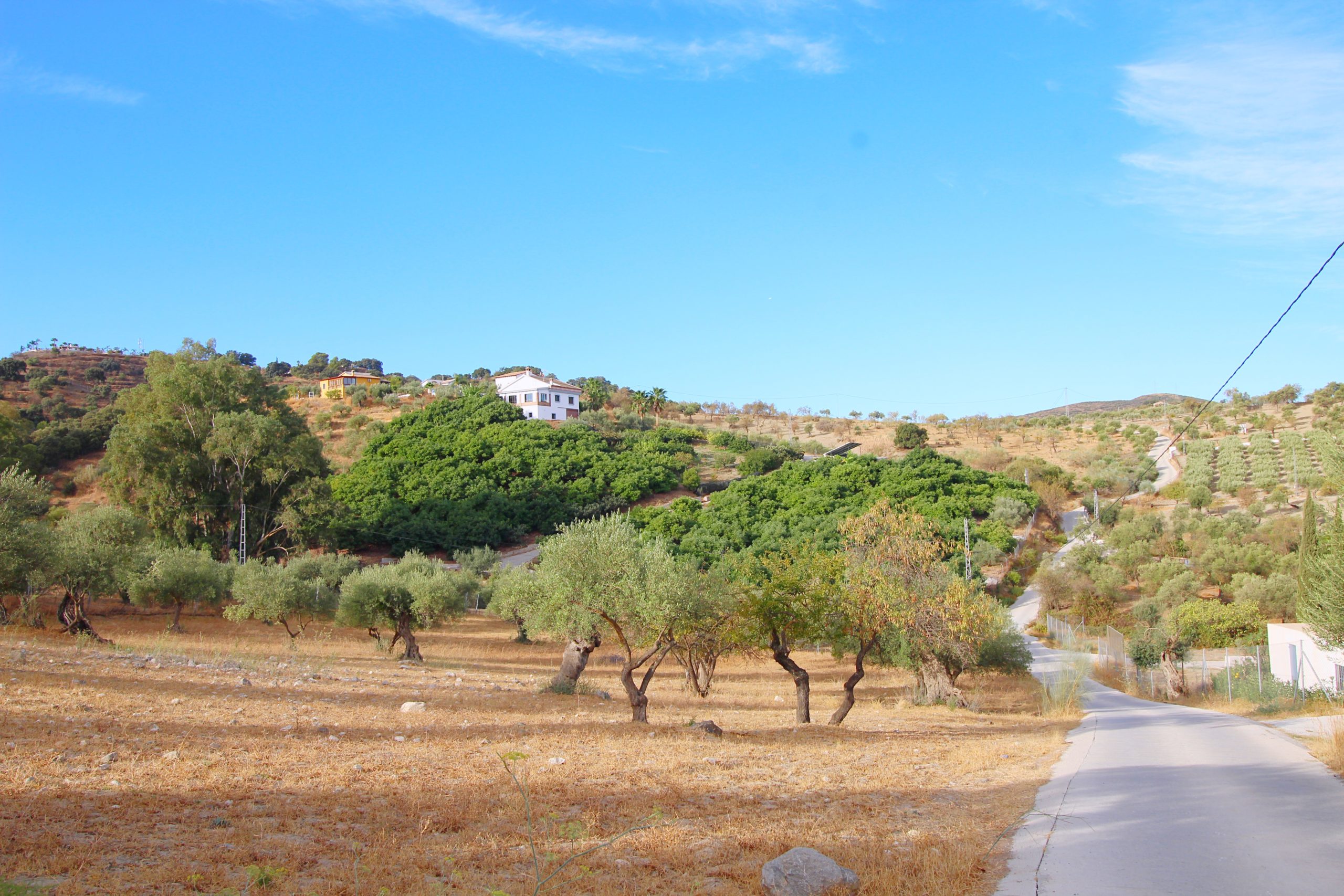 Chalet for sale in Coin, Malaga