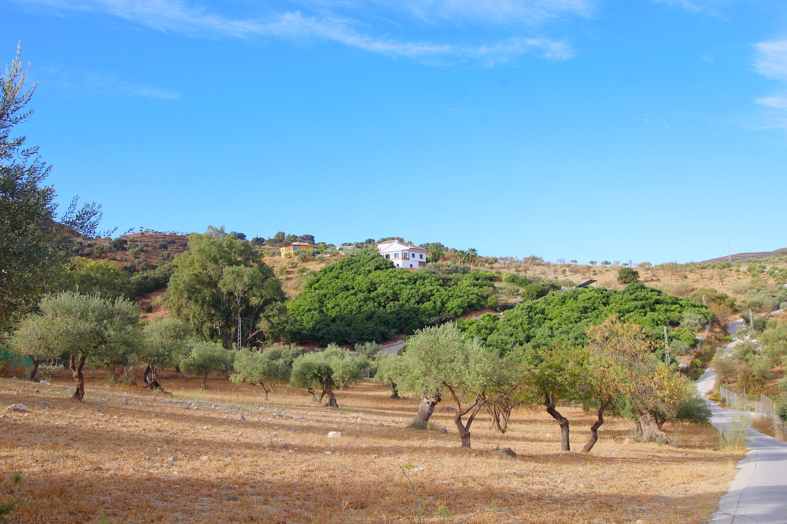 Chalet for sale in Coin, Malaga