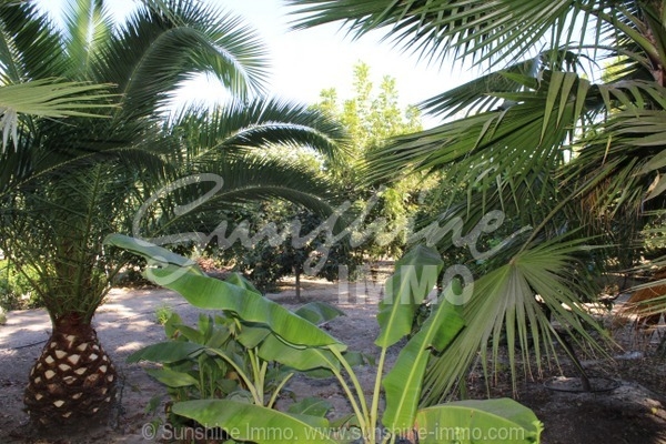 Villa for sale in Coin, Malaga