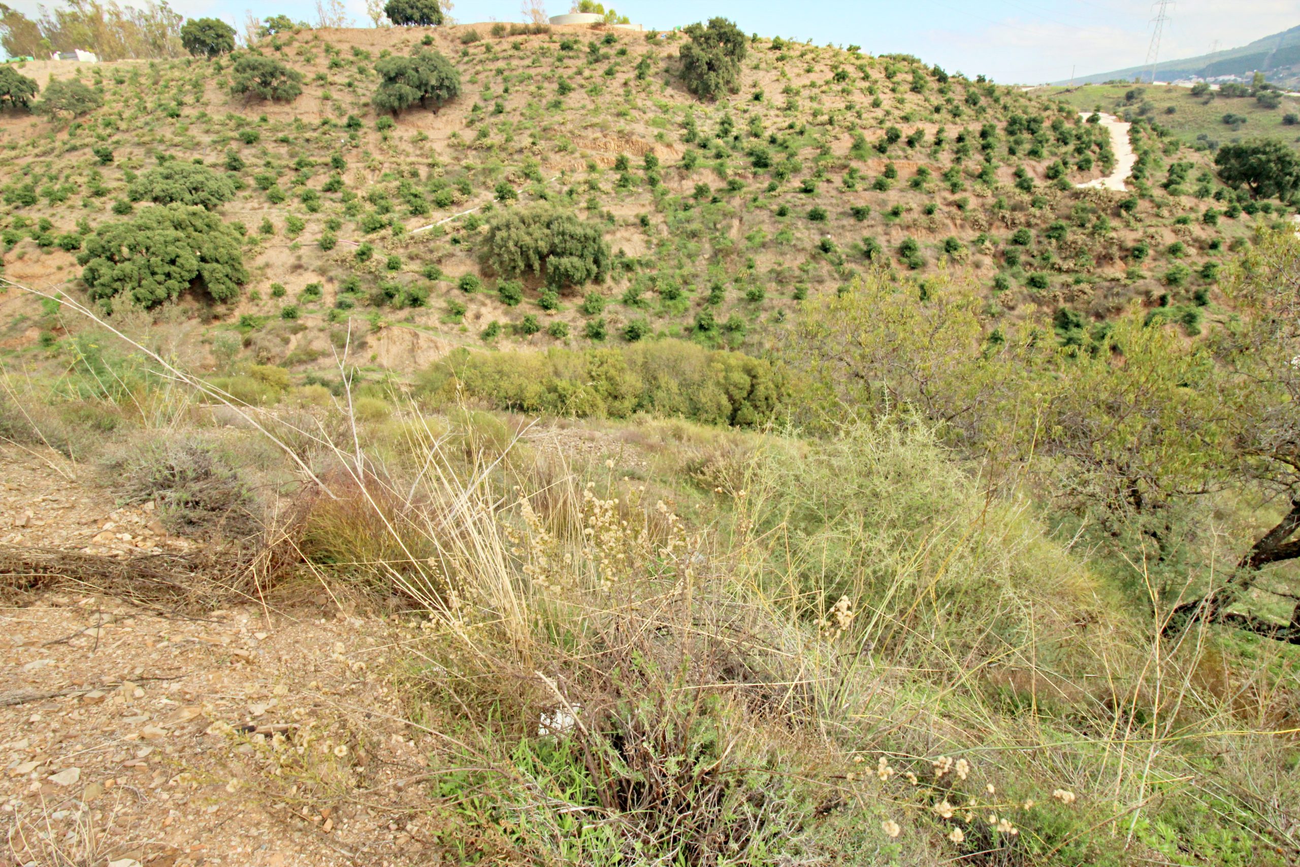 Teereno for sale in Coin, Malaga