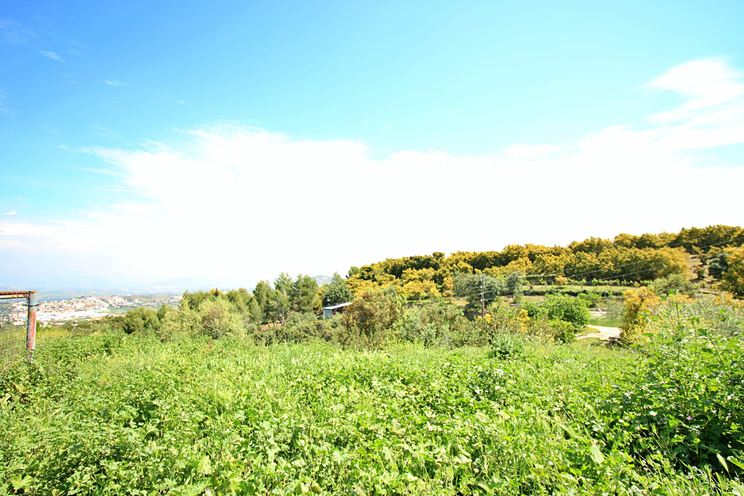 Comercial for sale in Coin, Malaga