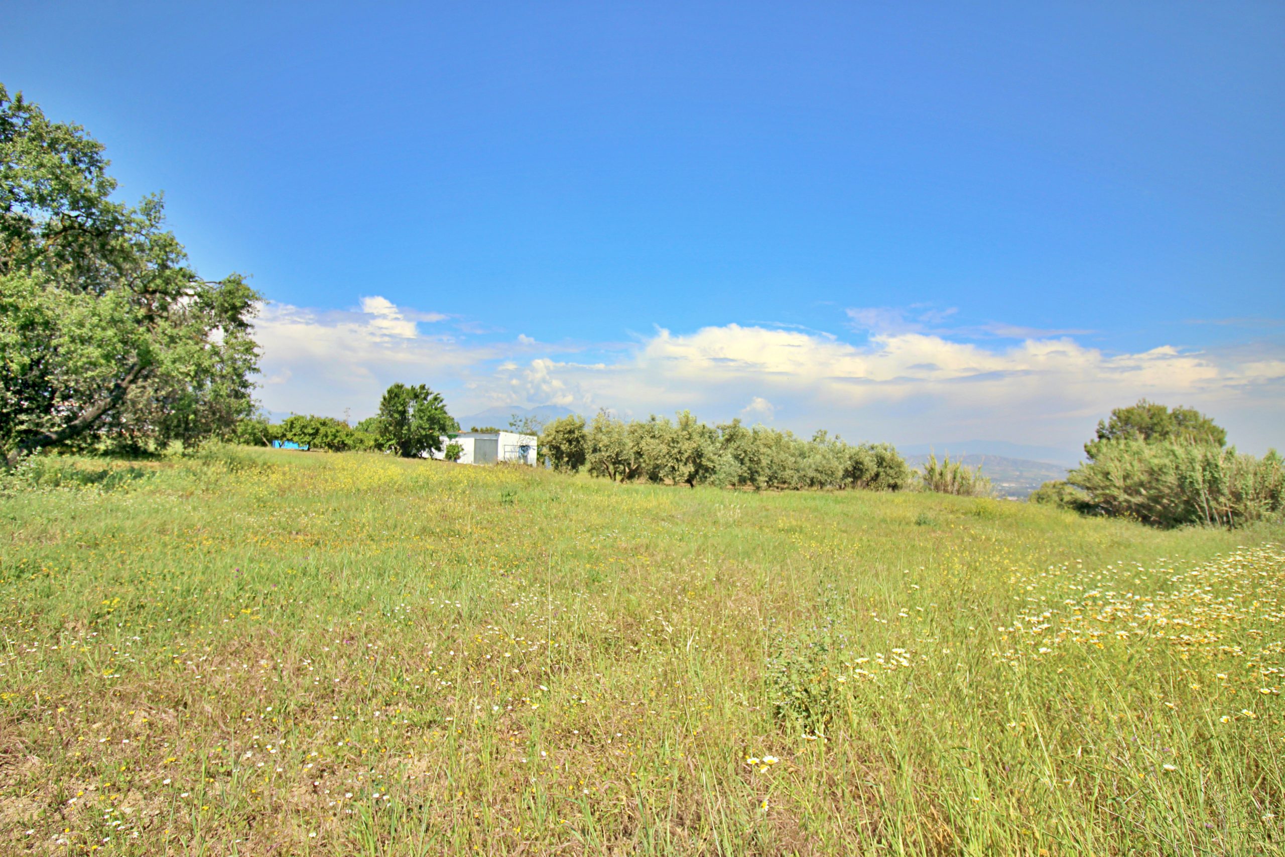 Comercial for sale in Coin, Malaga