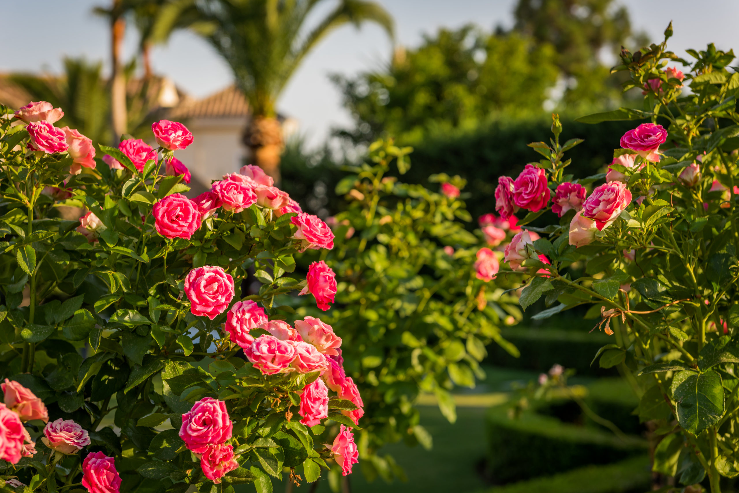 Villa for sale in Las-Chapas-Marbella, Malaga