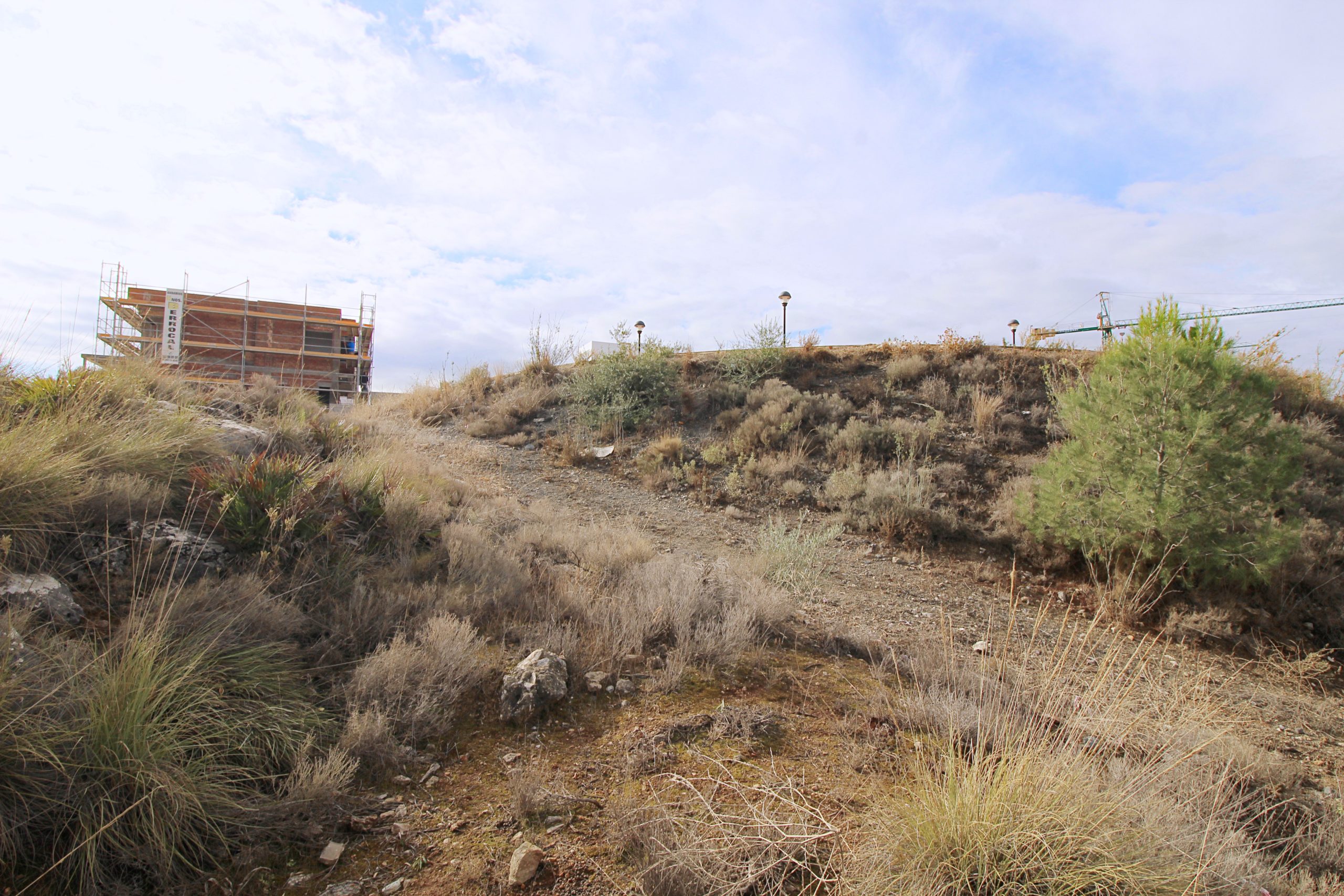 Terreno-Urbanizable for sale in Coin, Malaga