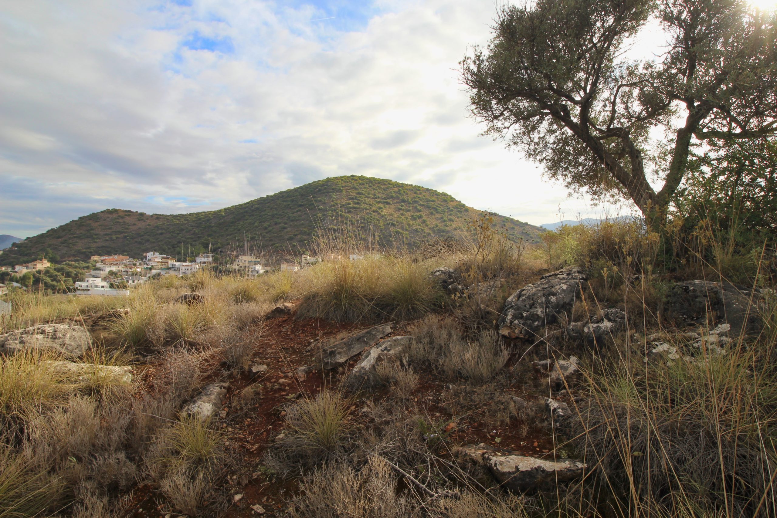 Terreno-Urbanizable for sale in Coin, Malaga