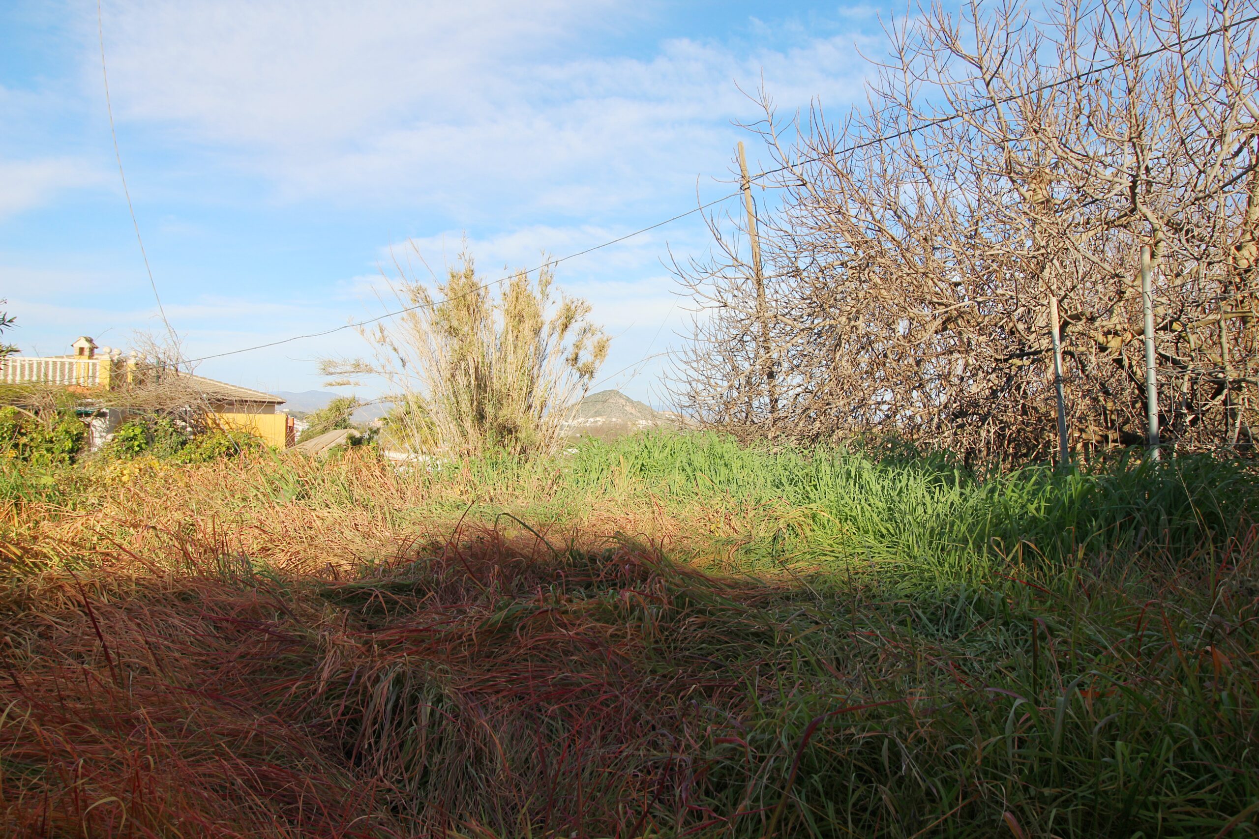 Terreno-Urbanizable for sale in Coin, Malaga