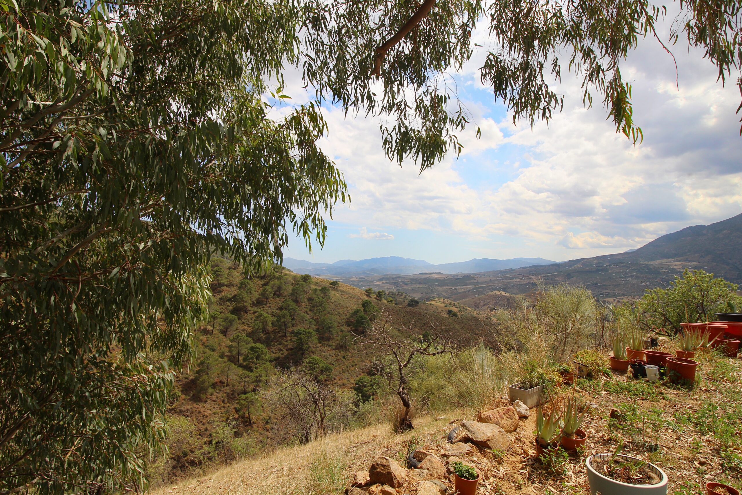 Finca for sale in Casarabonela, Malaga