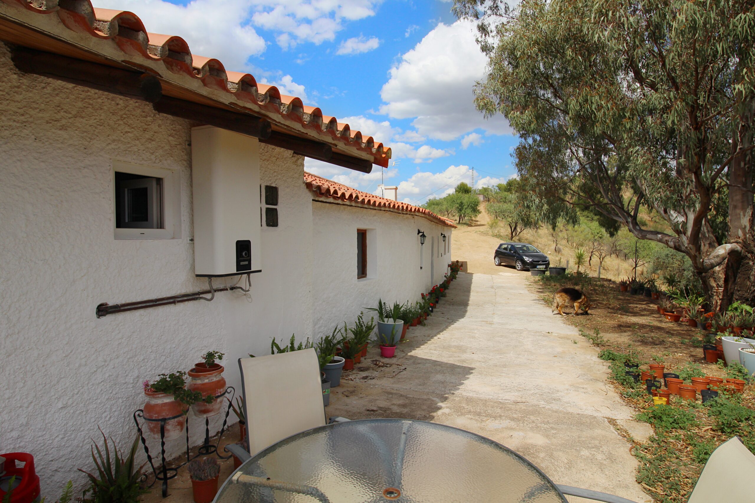 Finca for sale in Casarabonela, Malaga