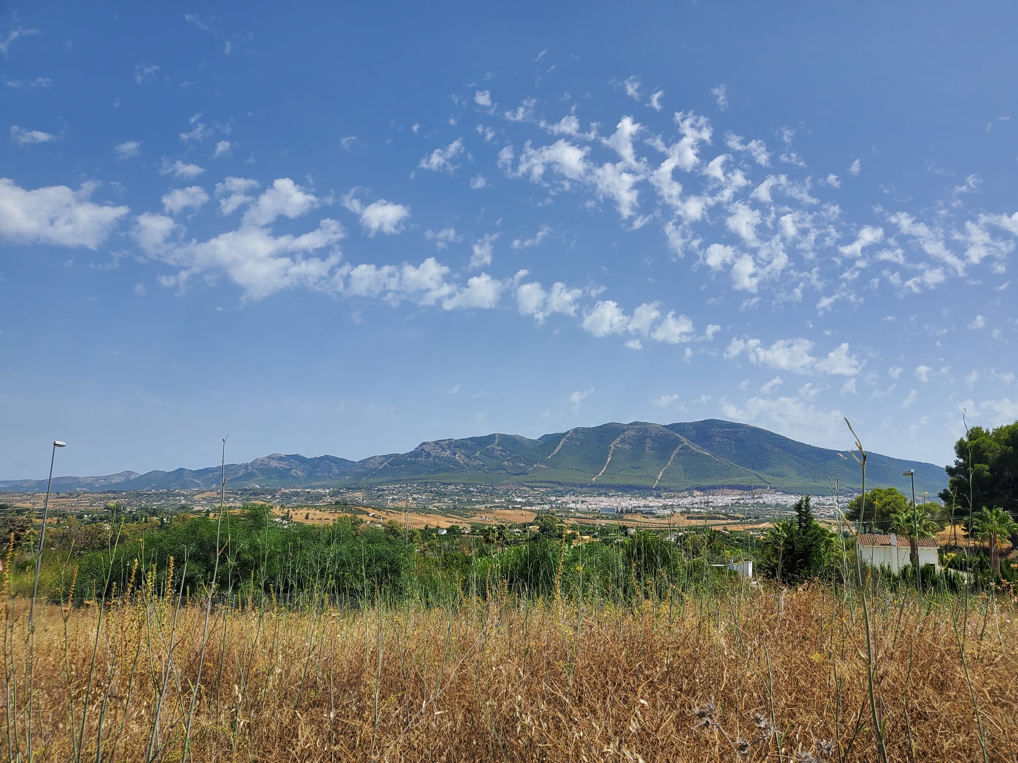 Terreno-Urbanizable for sale in Alhaurin-El-Grande, Malaga