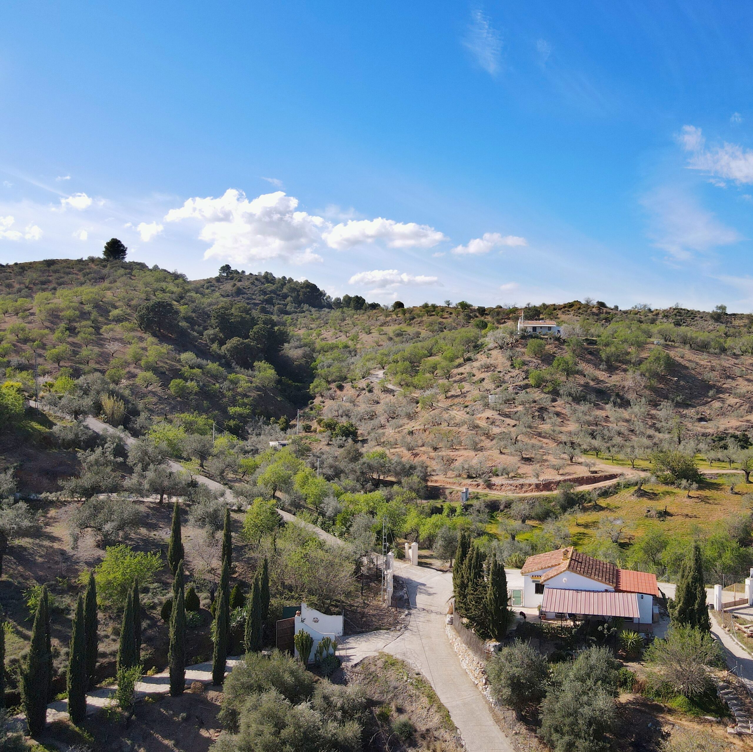 Finca for sale in Monda, Malaga