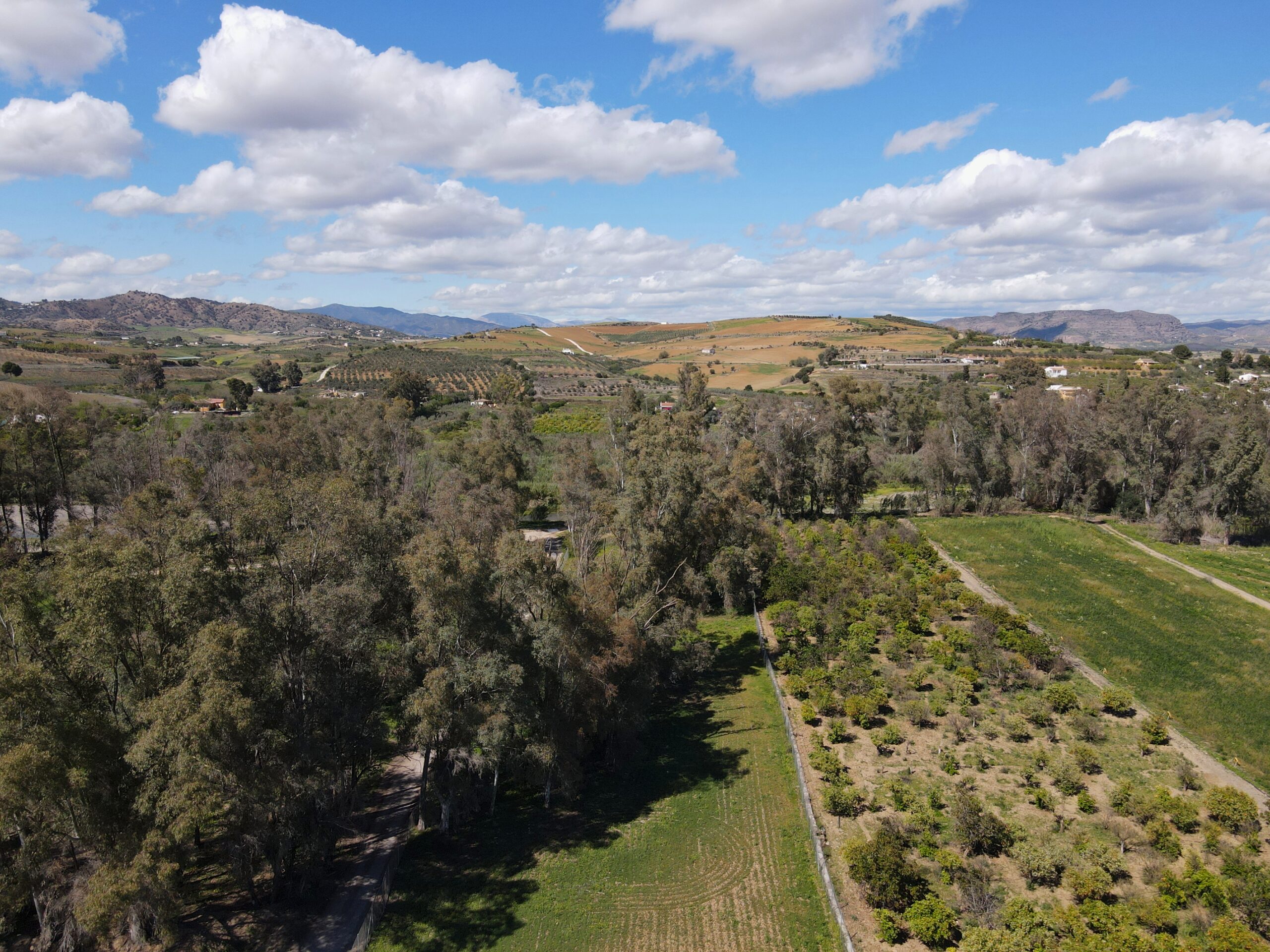 Finca for sale in Coin, Malaga