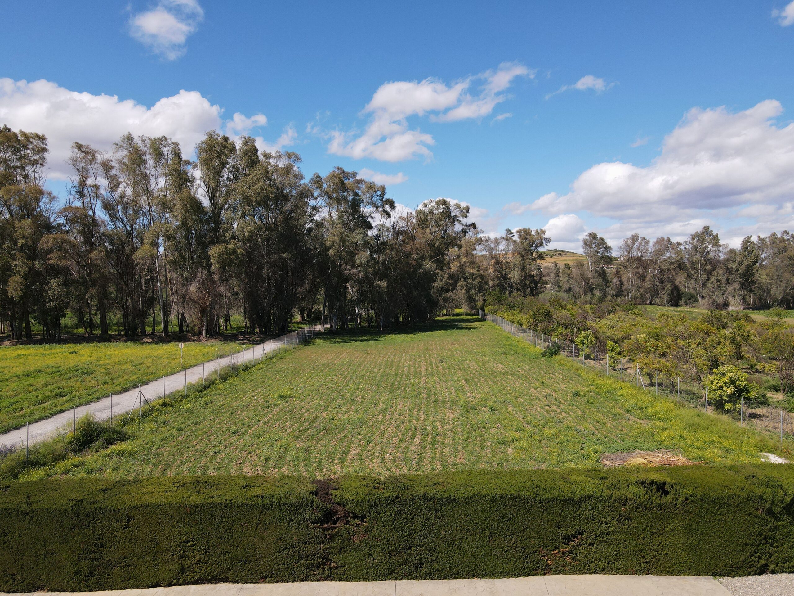 Finca for sale in Coin, Malaga