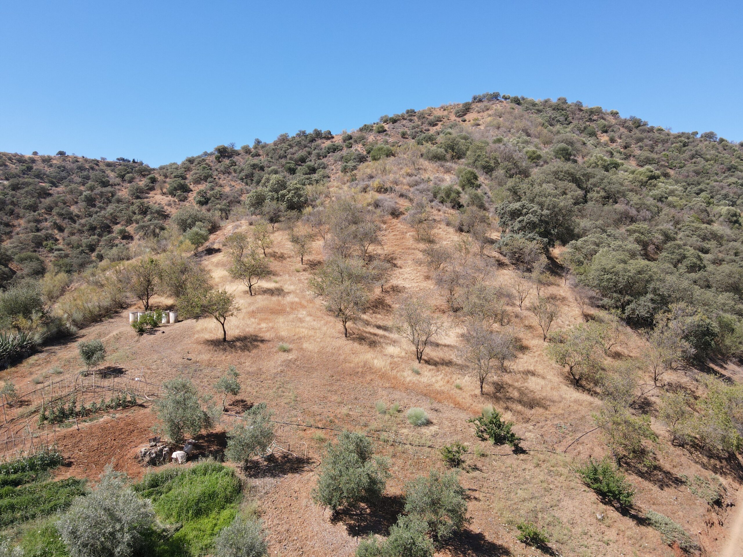 Teereno for sale in Coin, Malaga