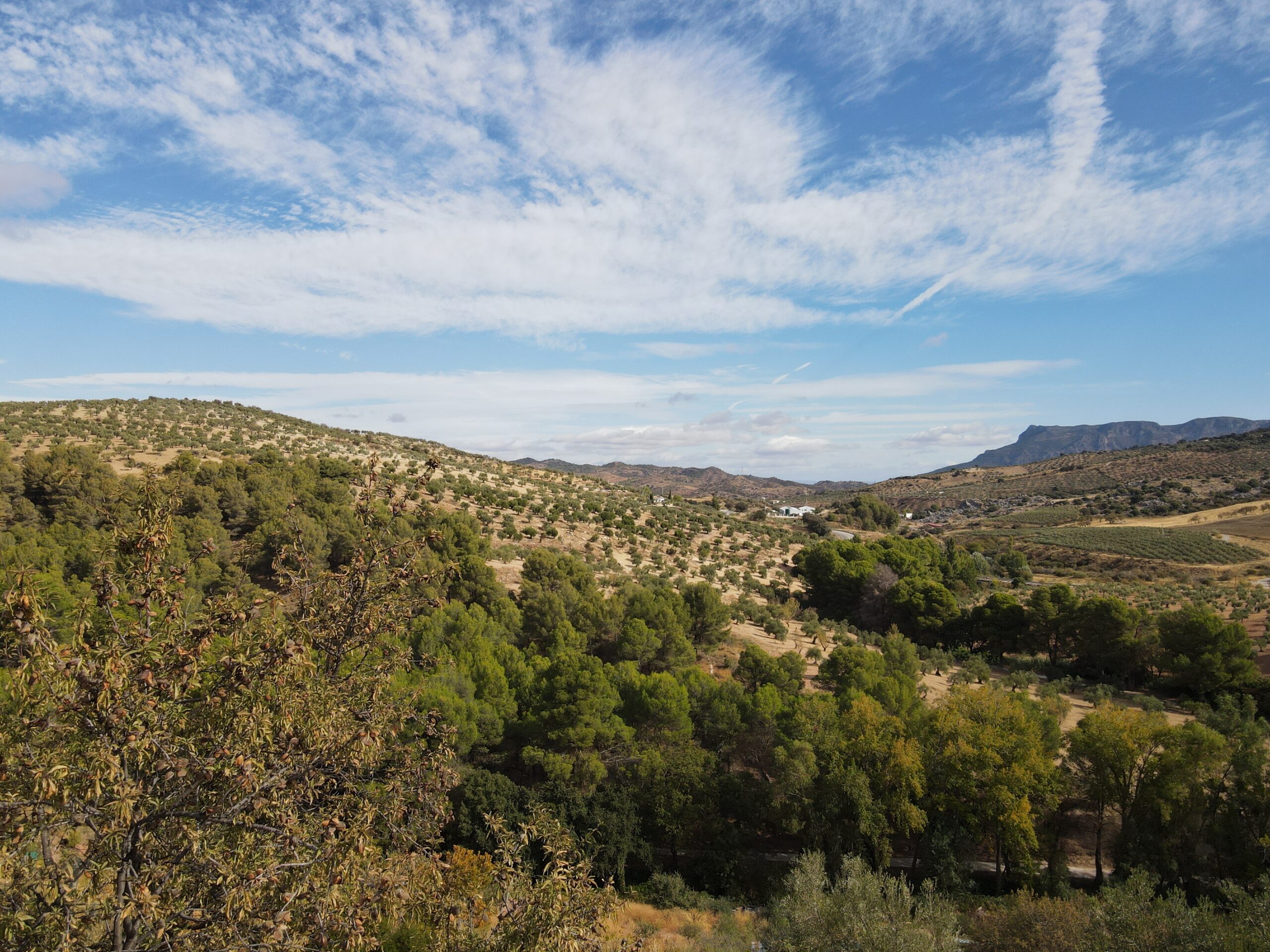 Finca for sale in El-Burgo, Malaga