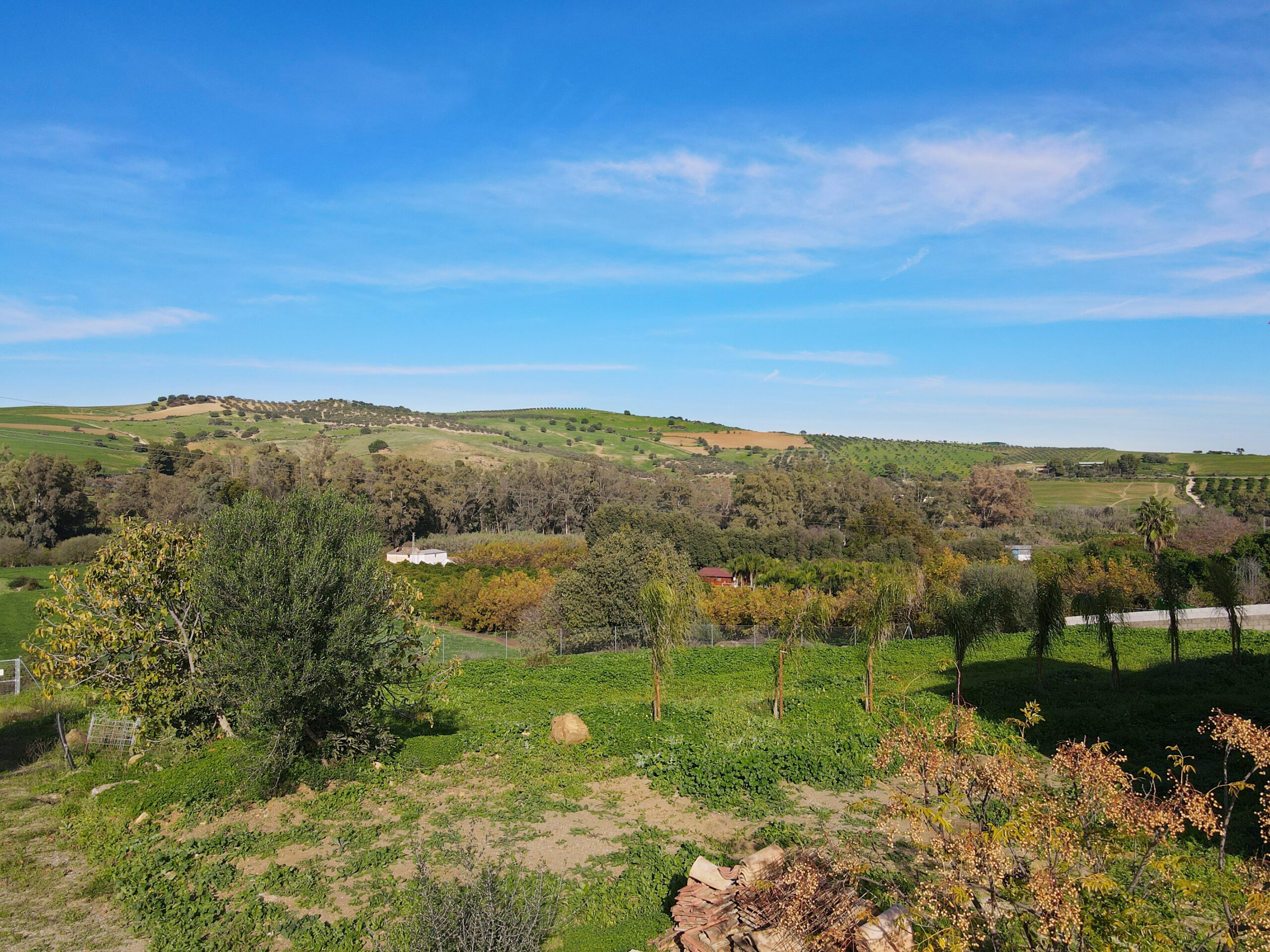 Finca for sale in Coin, Malaga
