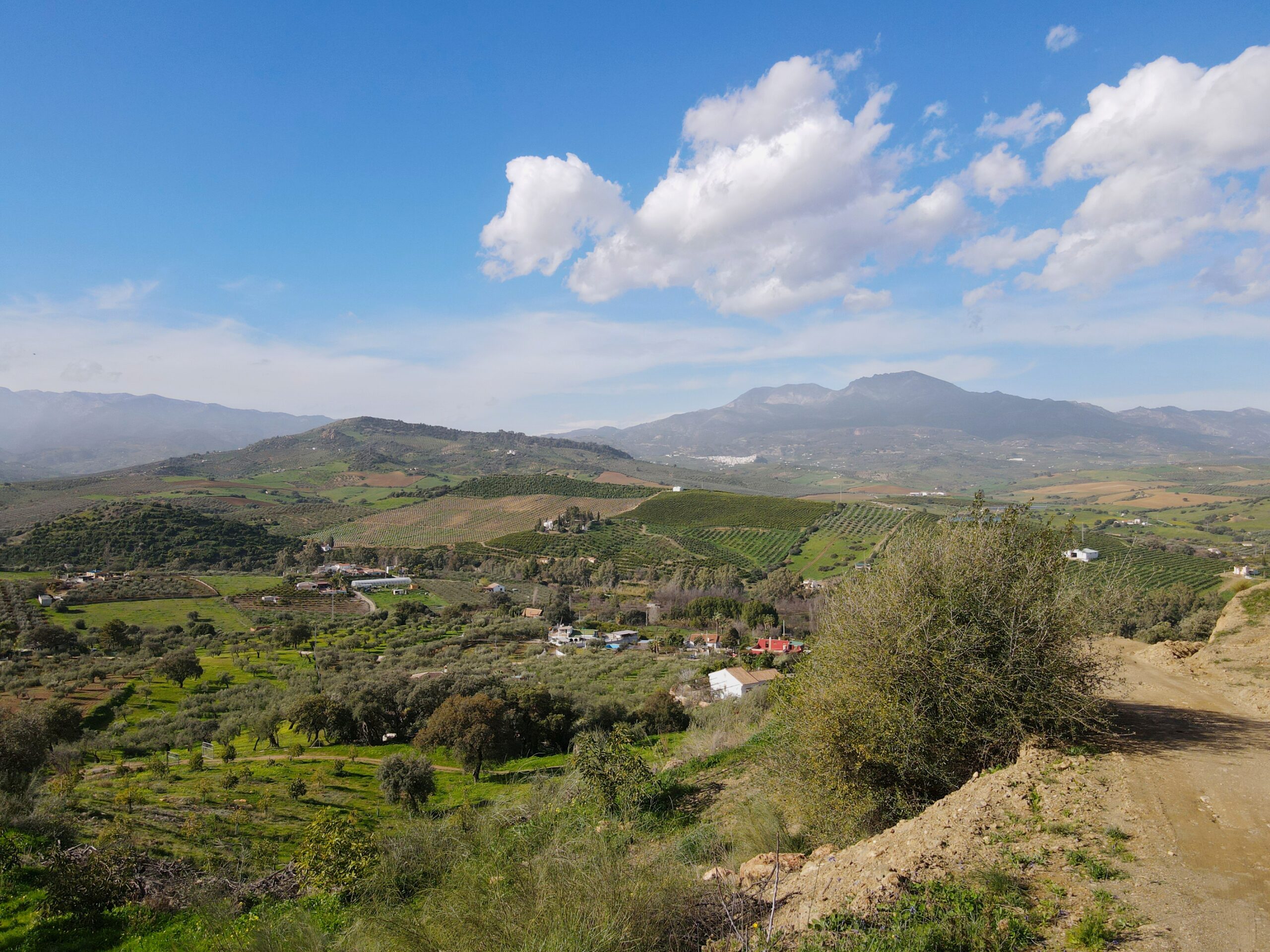 Parcela-Rural for sale in Coin, Malaga