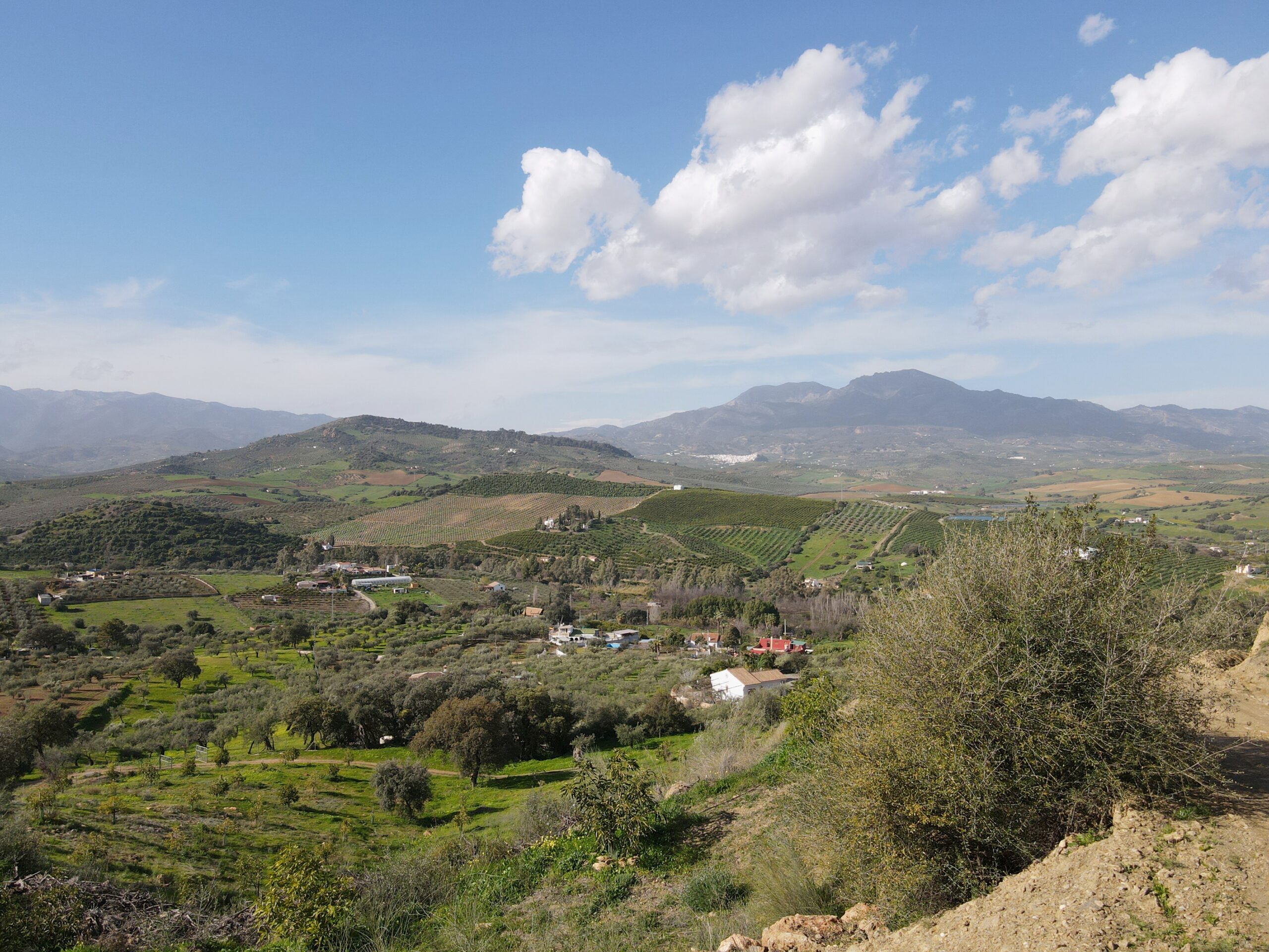 Parcela-Rural for sale in Coin, Malaga