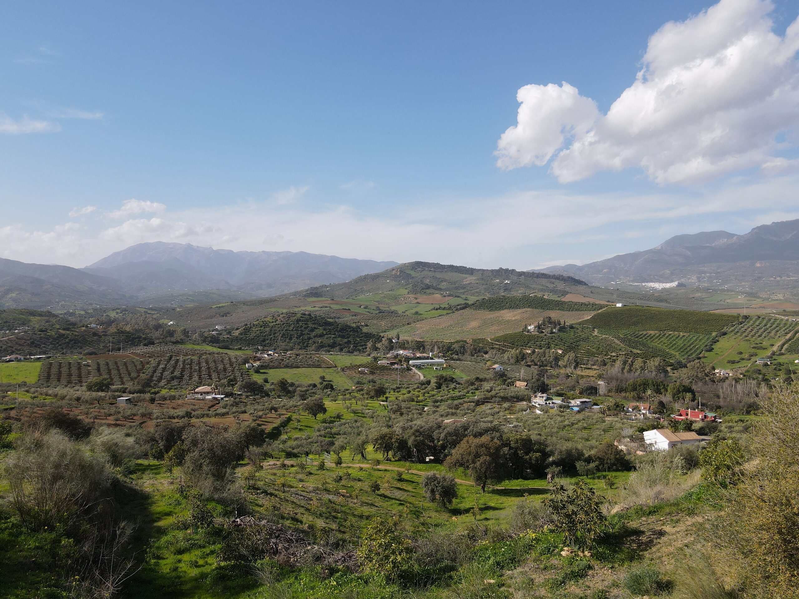 Parcela-Rural for sale in Coin, Malaga