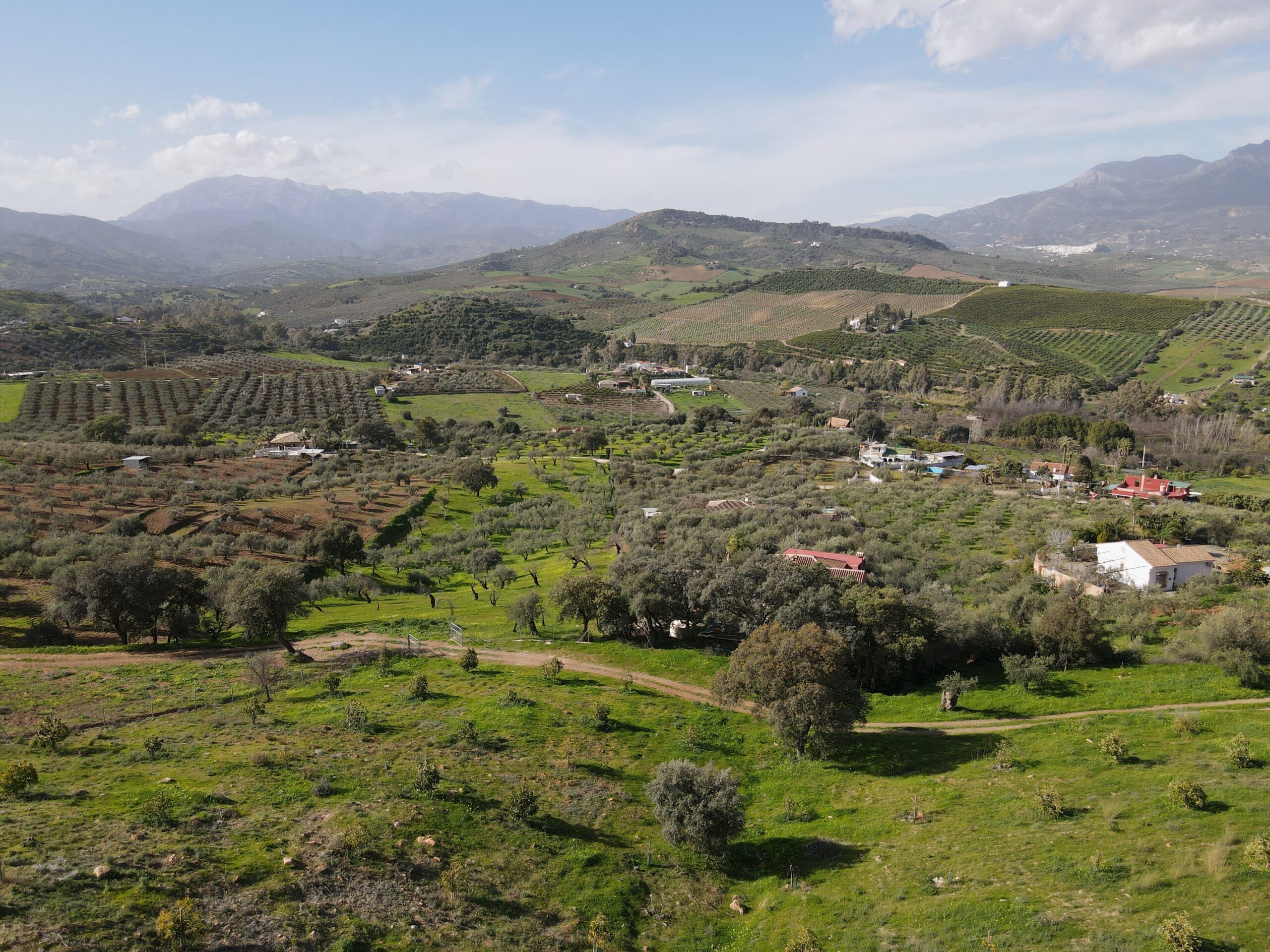Parcela-Rural for sale in Coin, Malaga