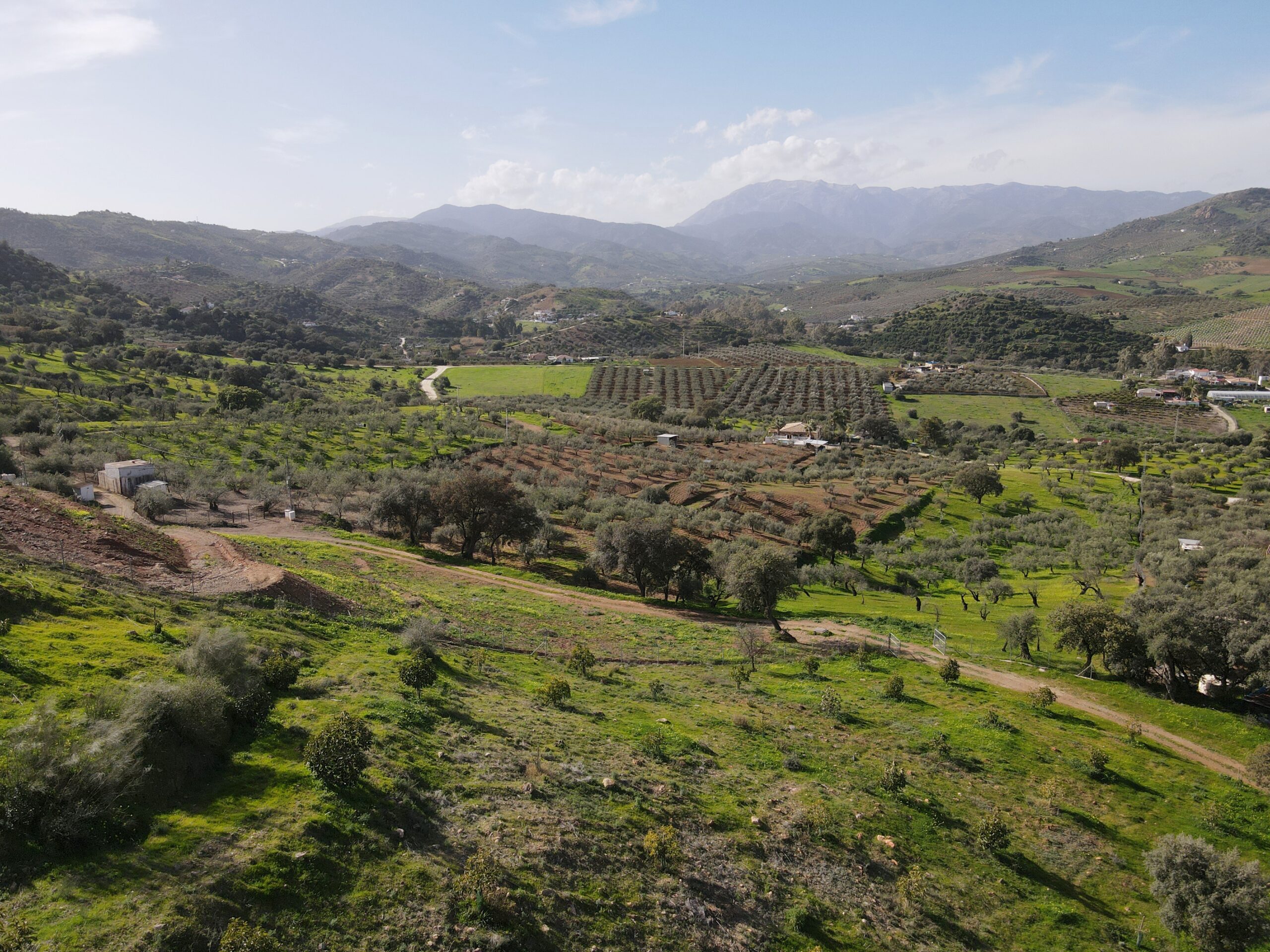 Parcela-Rural for sale in Coin, Malaga