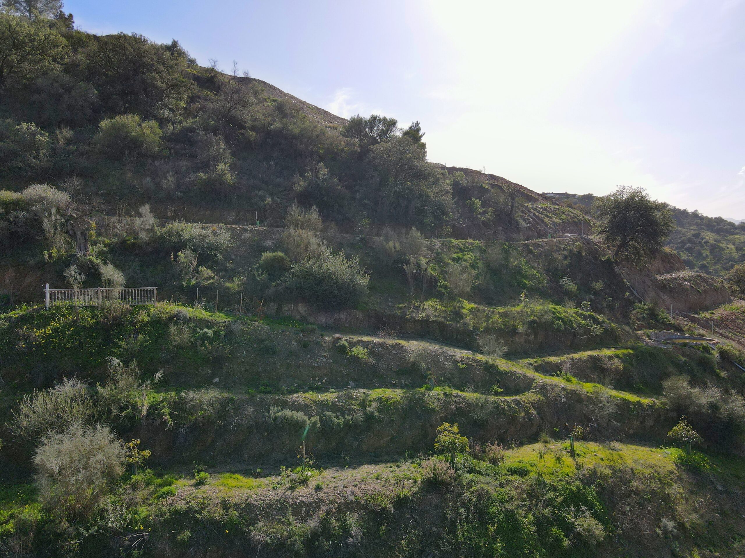 Parcela-Rural for sale in Coin, Malaga
