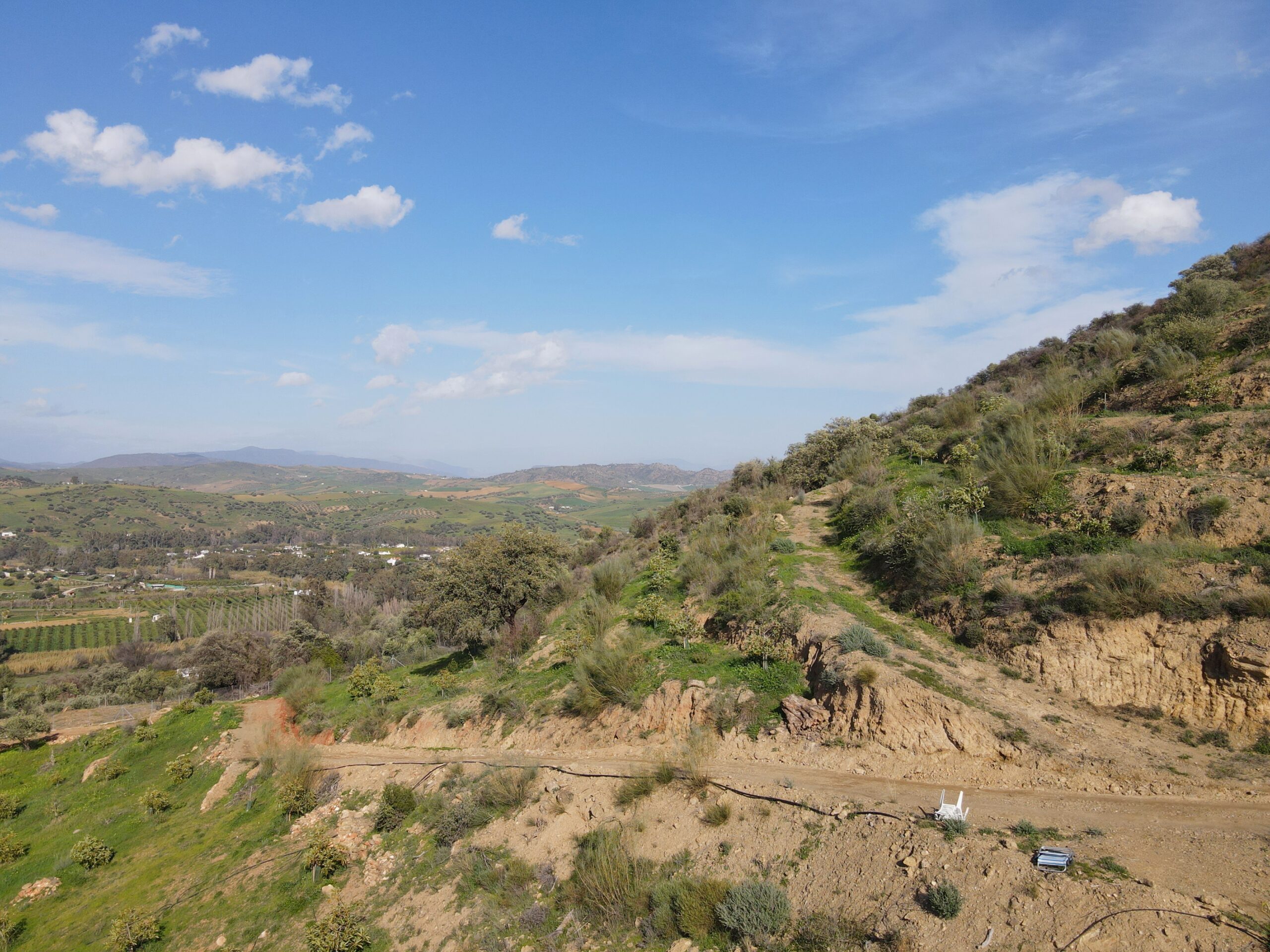 Parcela-Rural for sale in Coin, Malaga