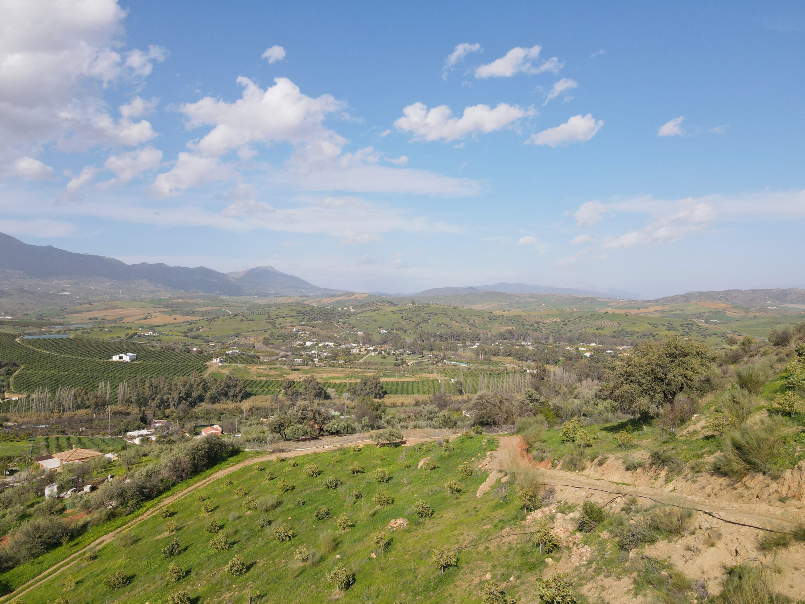 Parcela-Rural for sale in Coin, Malaga
