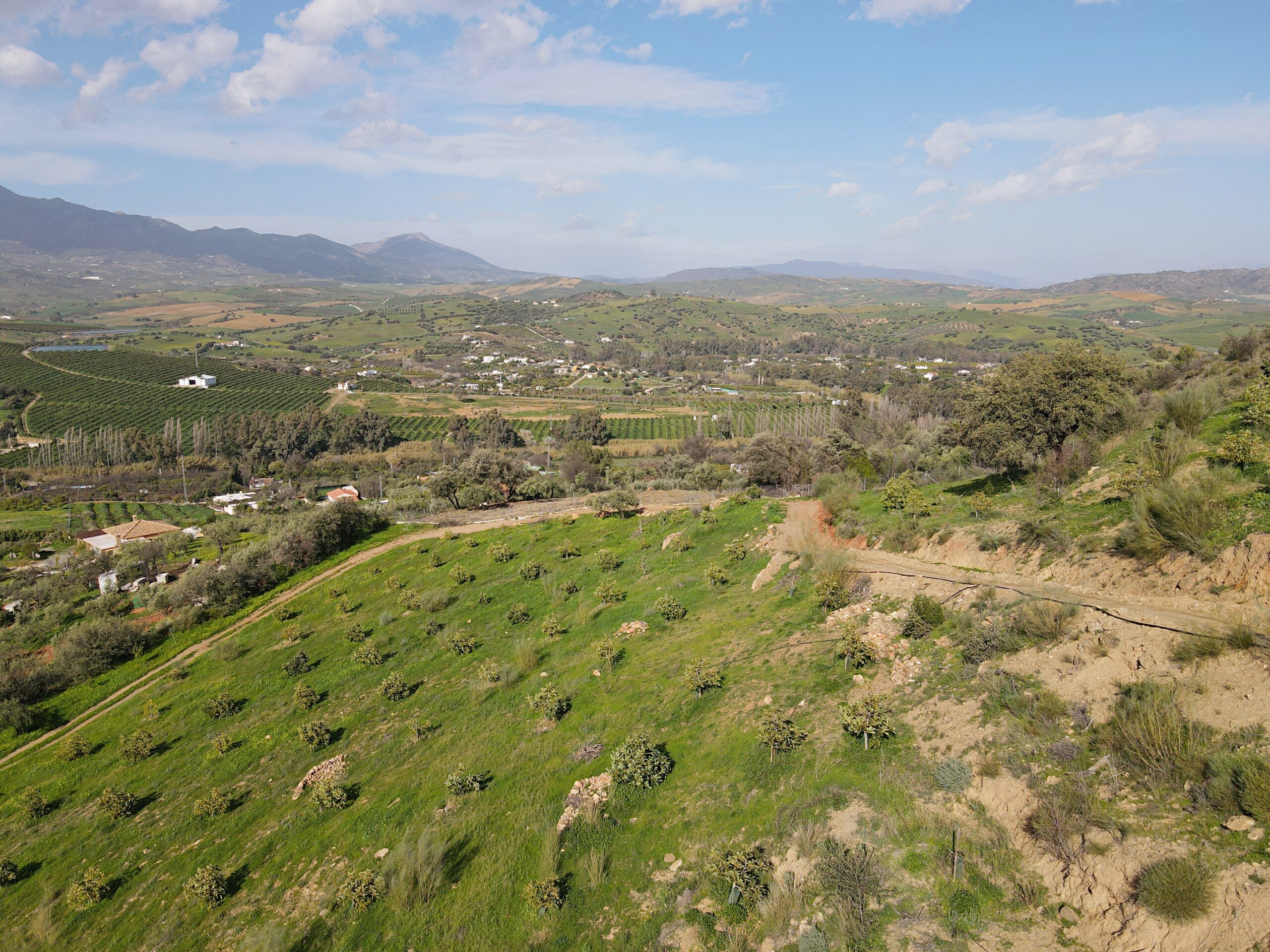 Parcela-Rural for sale in Coin, Malaga