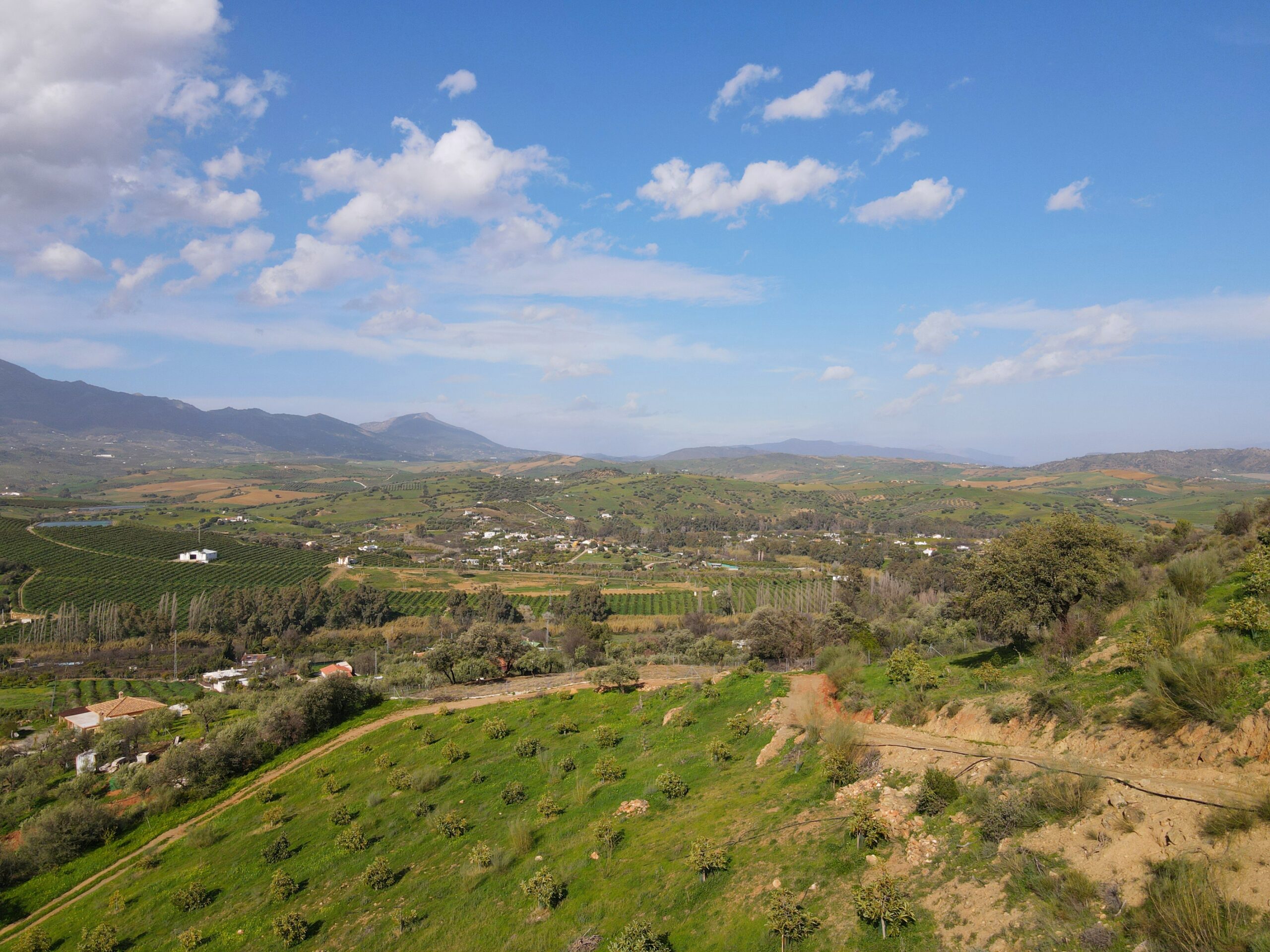 Parcela-Rural for sale in Coin, Malaga