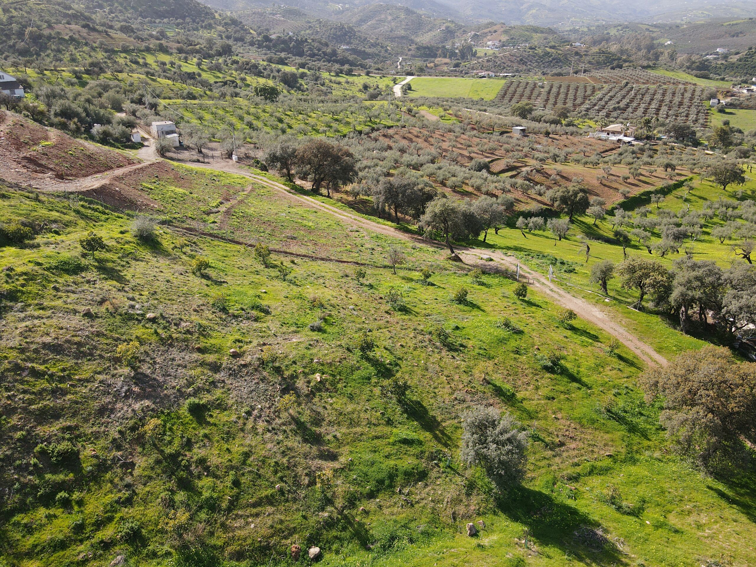 Parcela-Rural for sale in Coin, Malaga