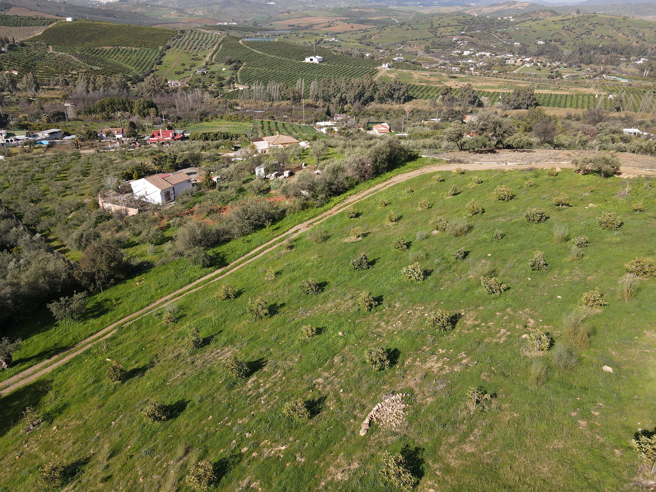 Parcela-Rural for sale in Coin, Malaga