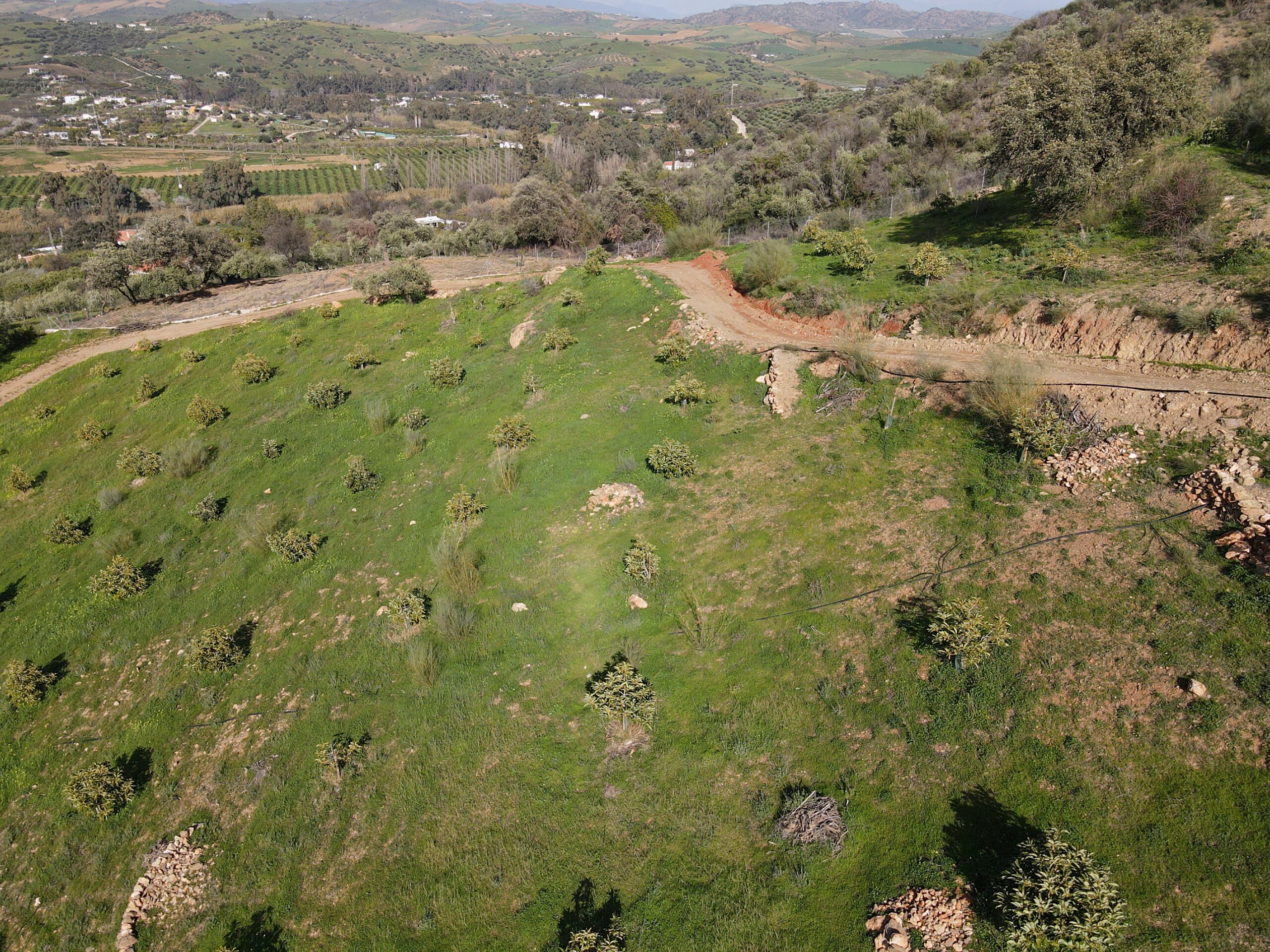 Parcela-Rural for sale in Coin, Malaga