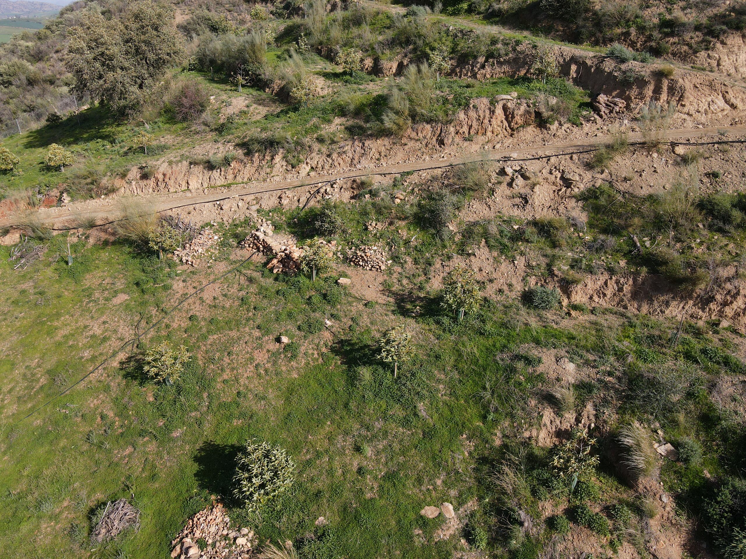 Parcela-Rural for sale in Coin, Malaga