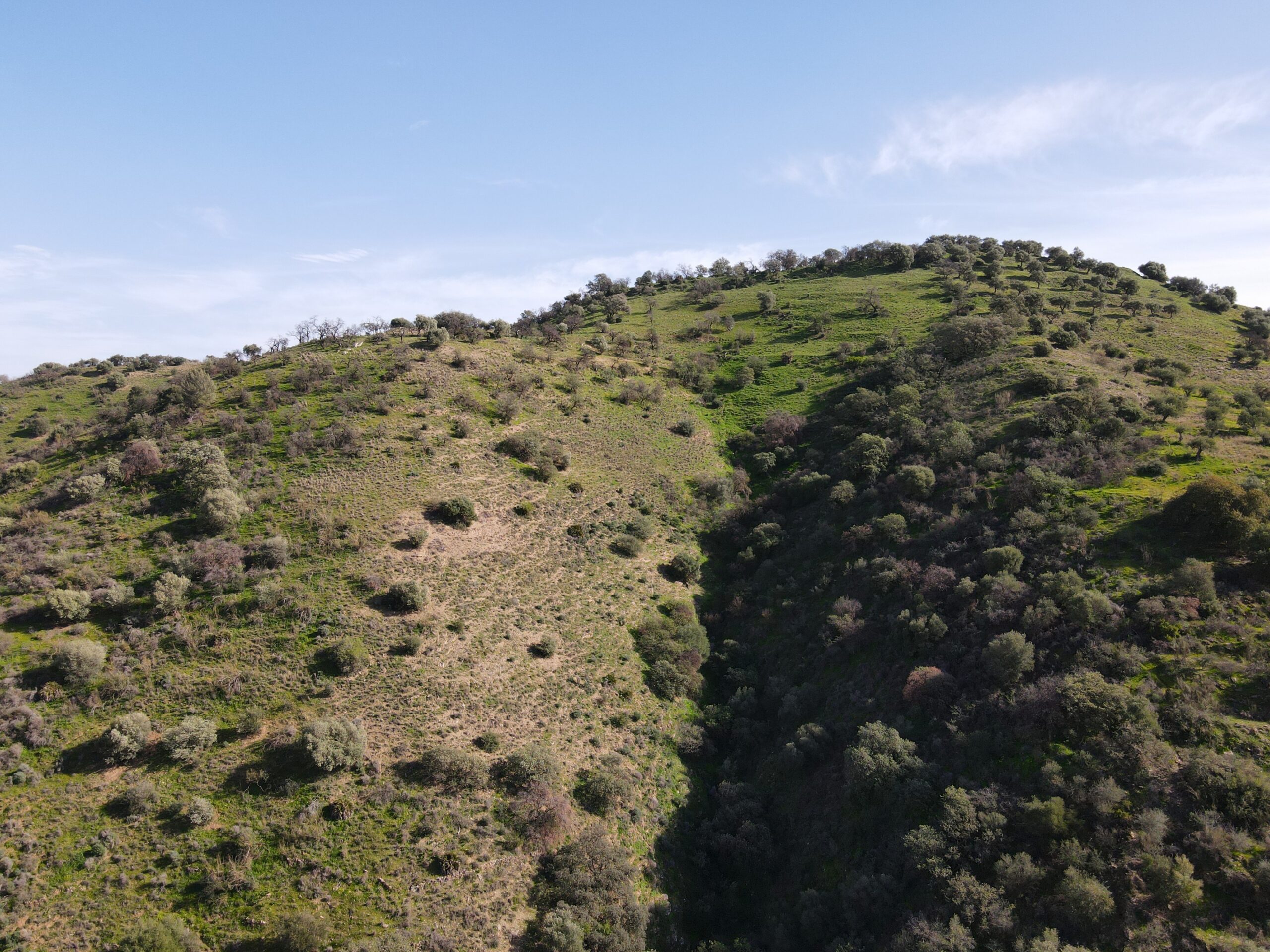 Parcela-Rural for sale in Coin, Malaga