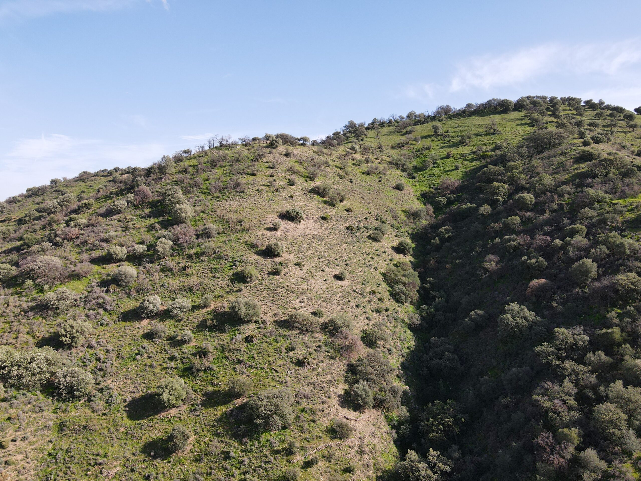 Parcela-Rural for sale in Coin, Malaga