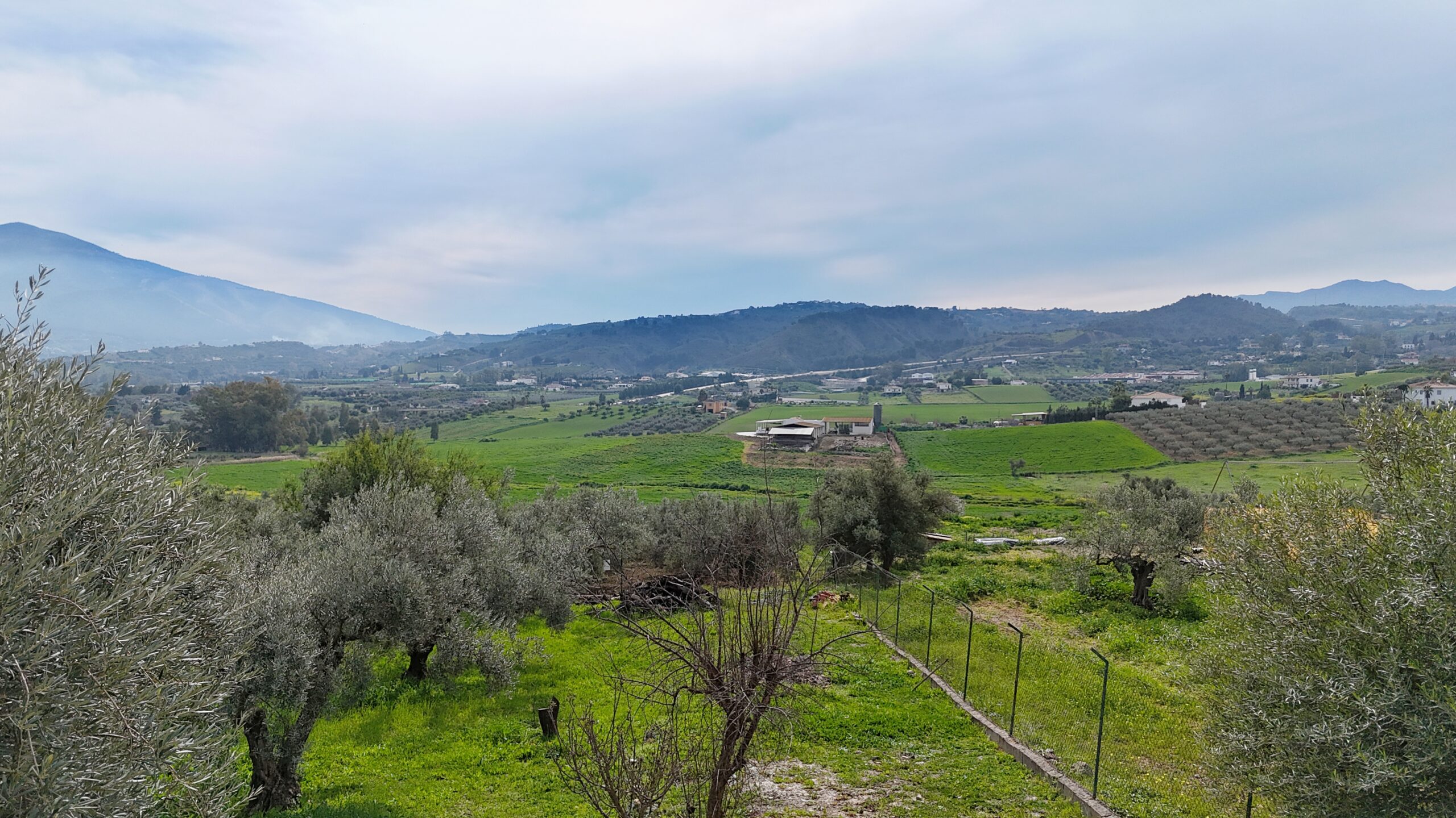 Finca for sale in Coin, Malaga