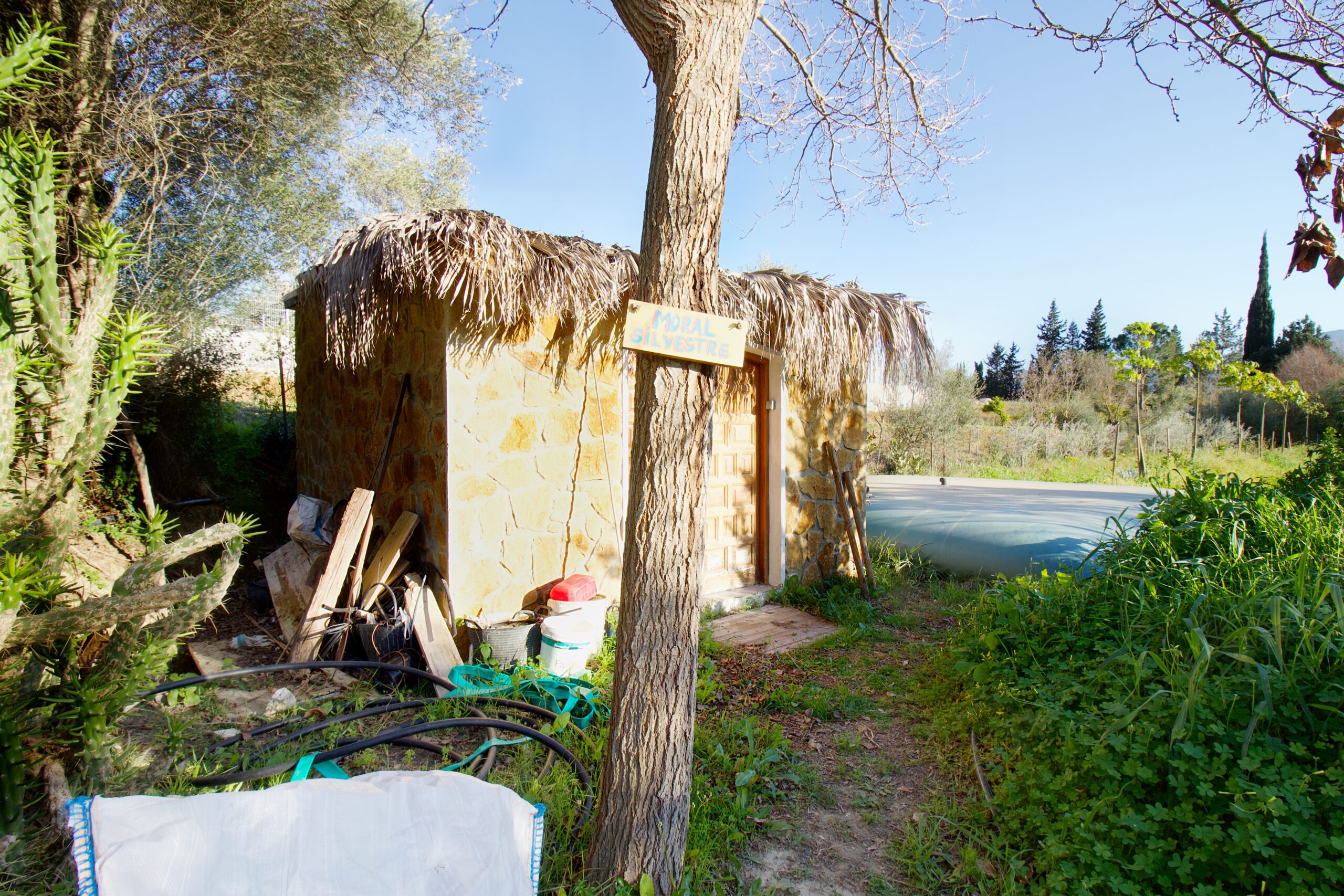 Finca for sale in Cartama, Malaga