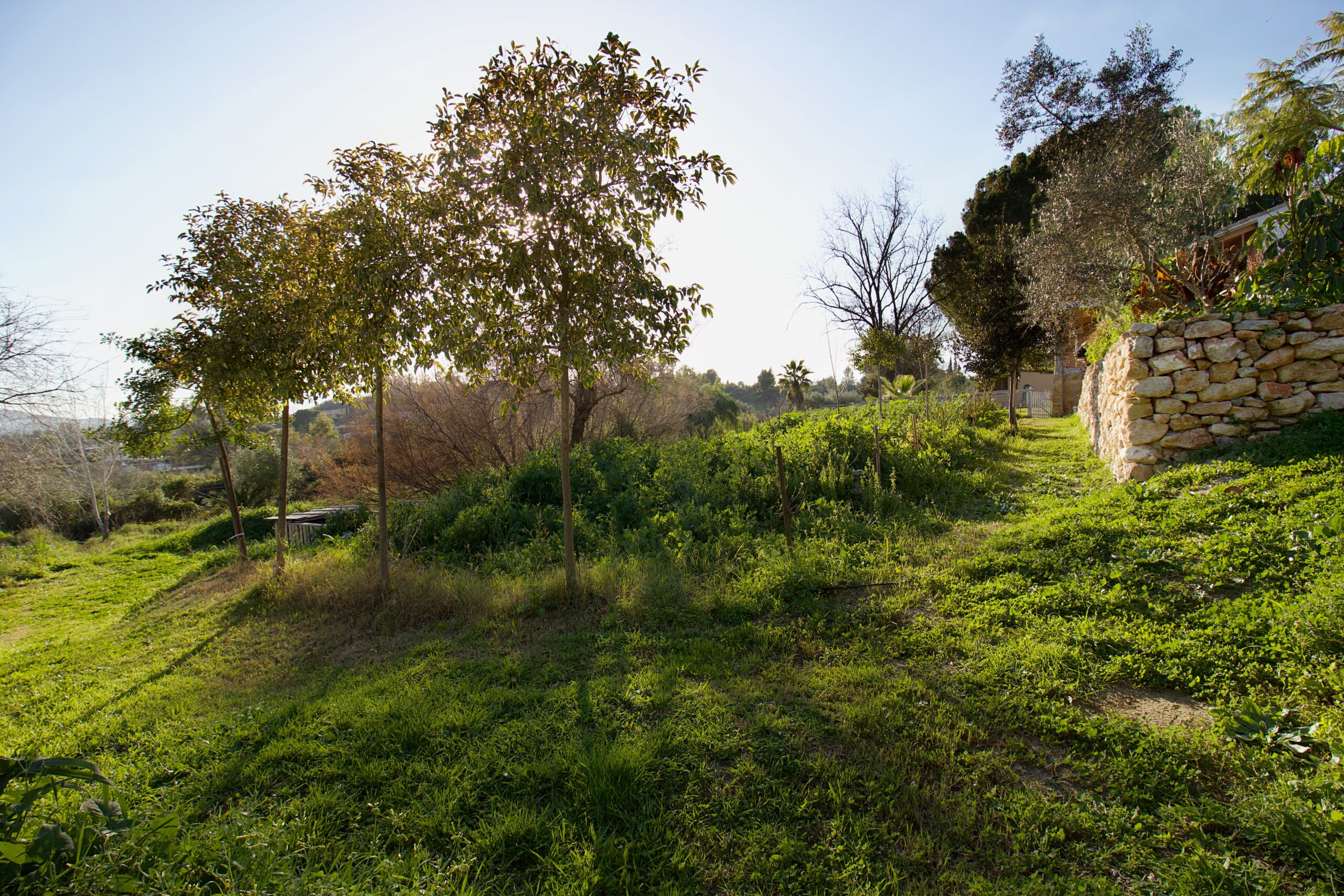 Finca for sale in Cartama, Malaga