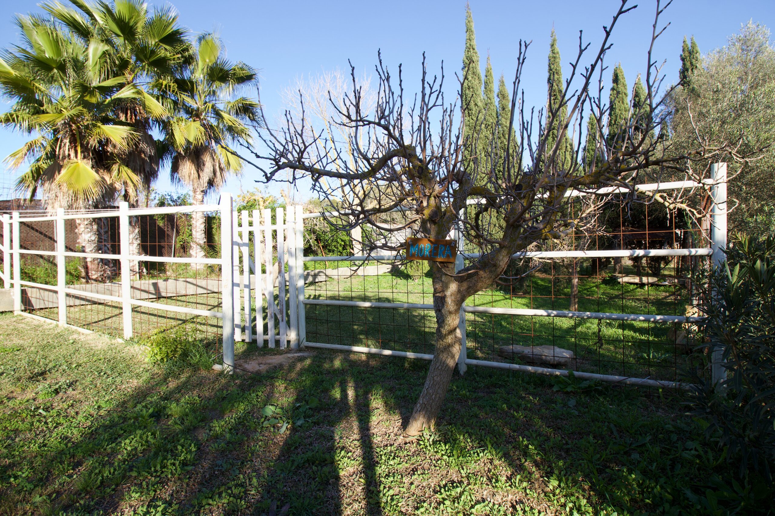 Finca for sale in Cartama, Malaga