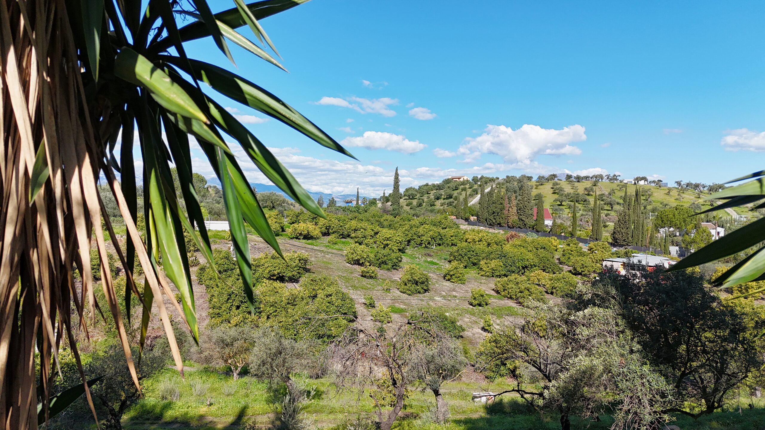 Finca for sale in Coin, Malaga