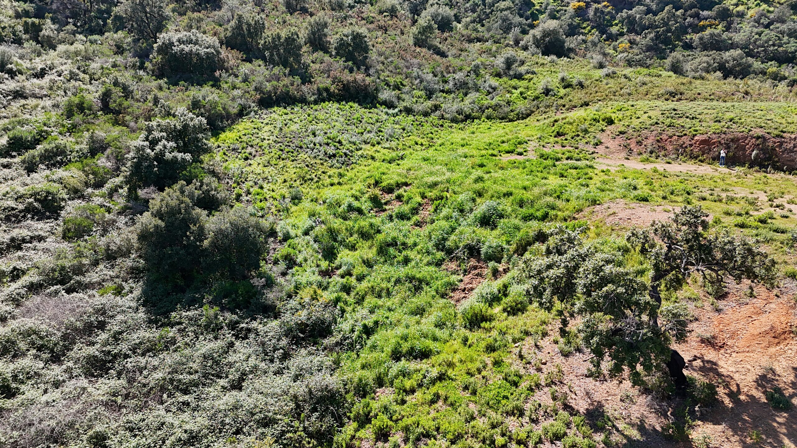 Terreno-Urbanizable for sale in La-Mairena, Malaga