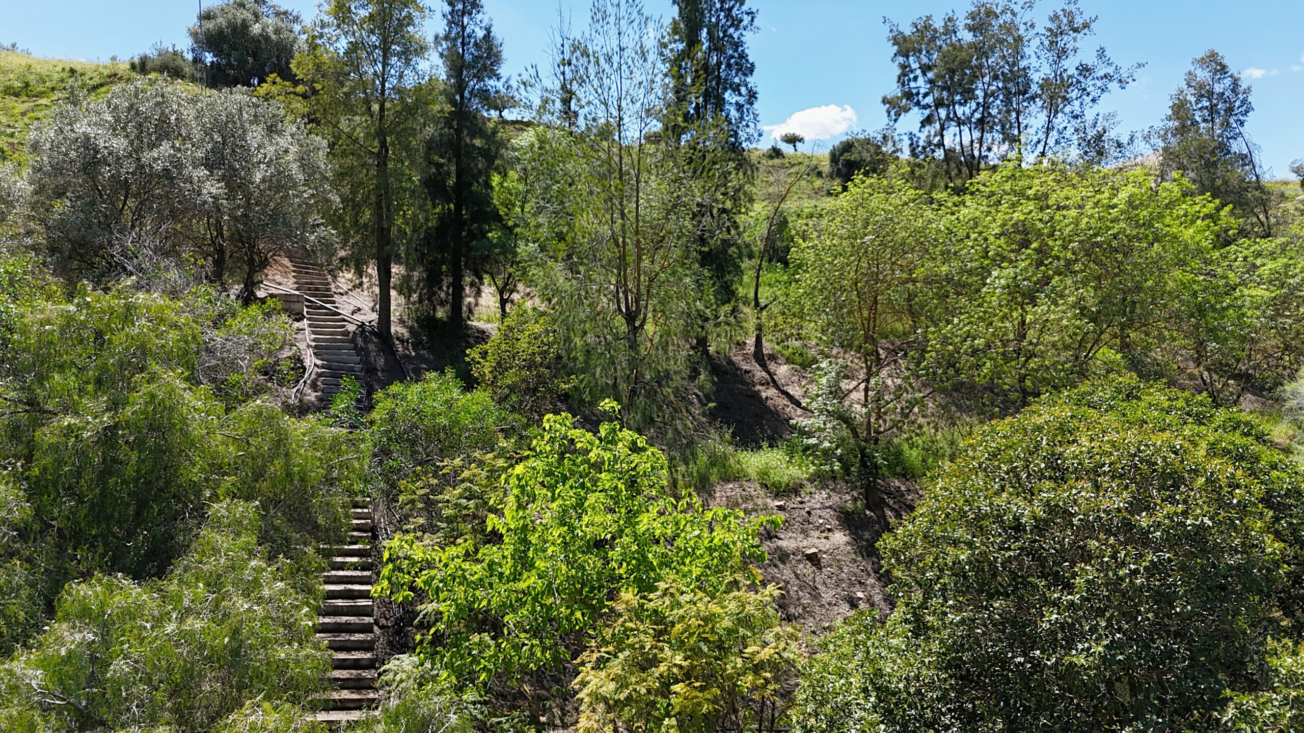 Finca for sale in Coin, Malaga
