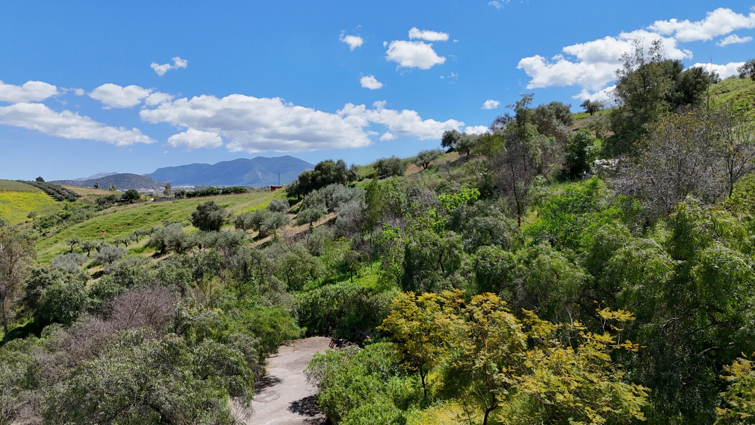 Finca for sale in Coin, Malaga